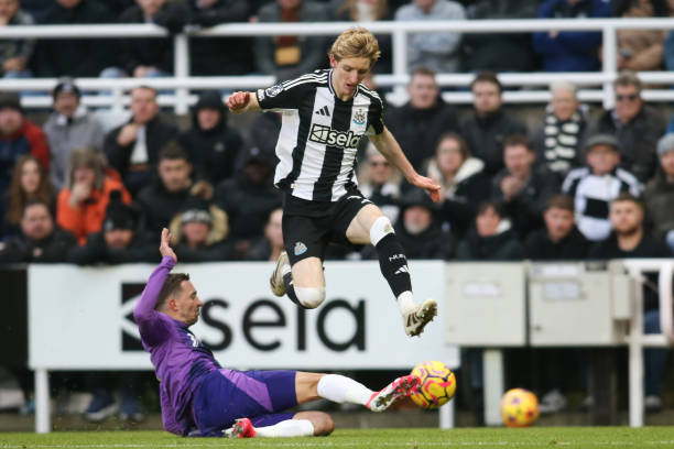 较量与合作 较量与合作