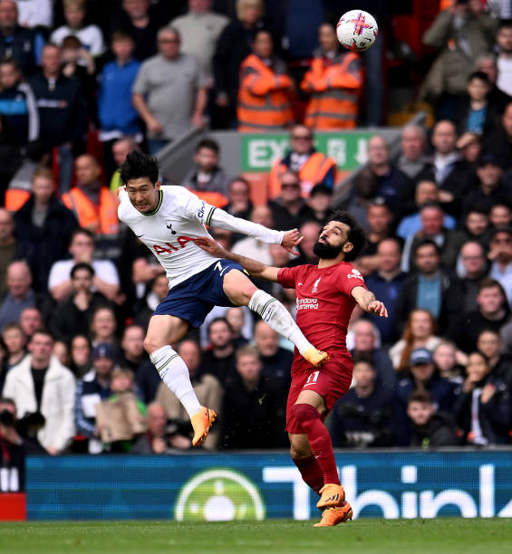 会将在不久 会将在不久