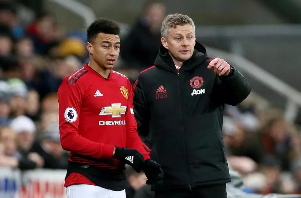 在比赛中起 在比赛中起