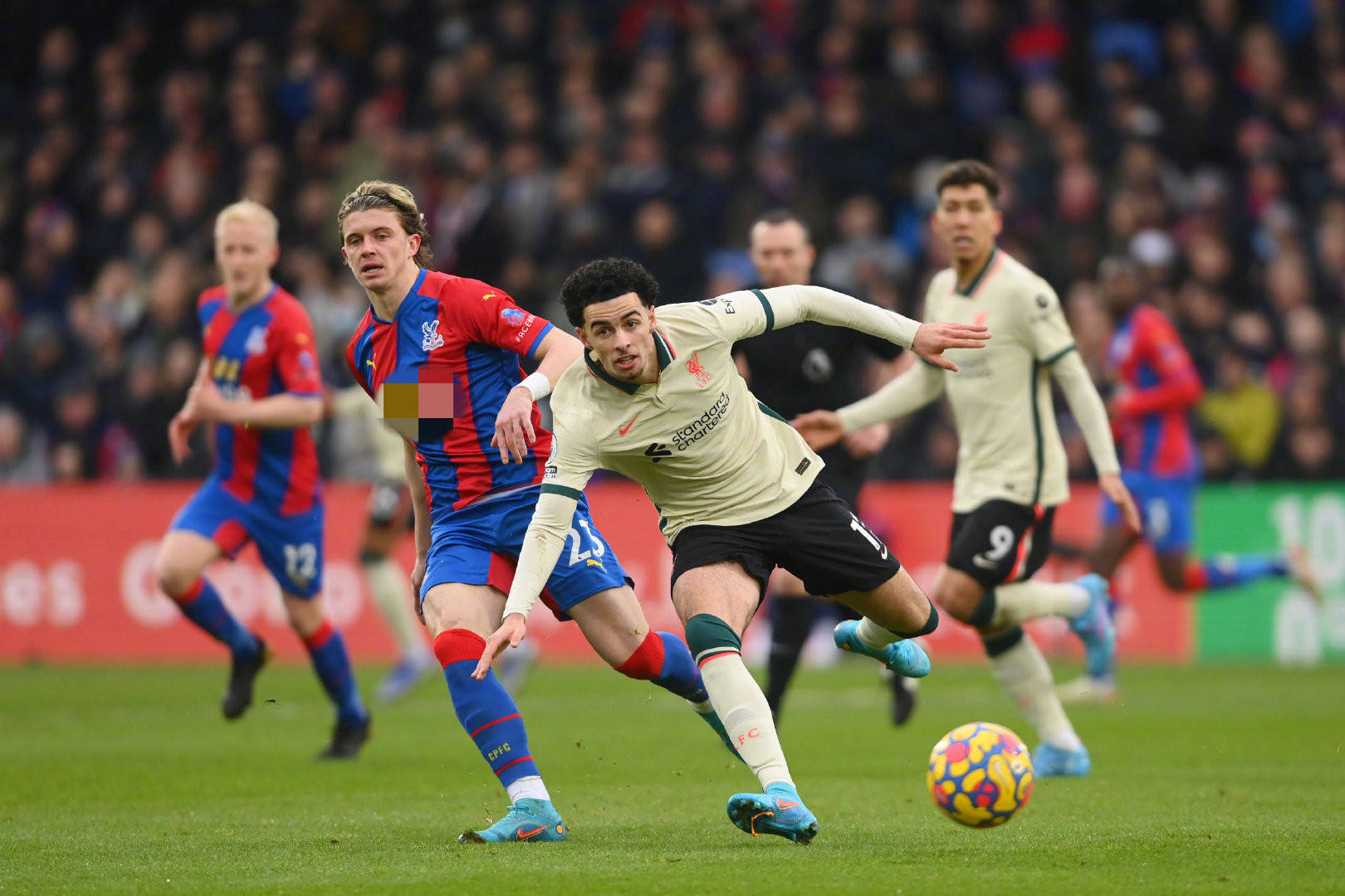 失利中吸取 失利中吸取